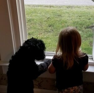 Meet your Posher, Karla